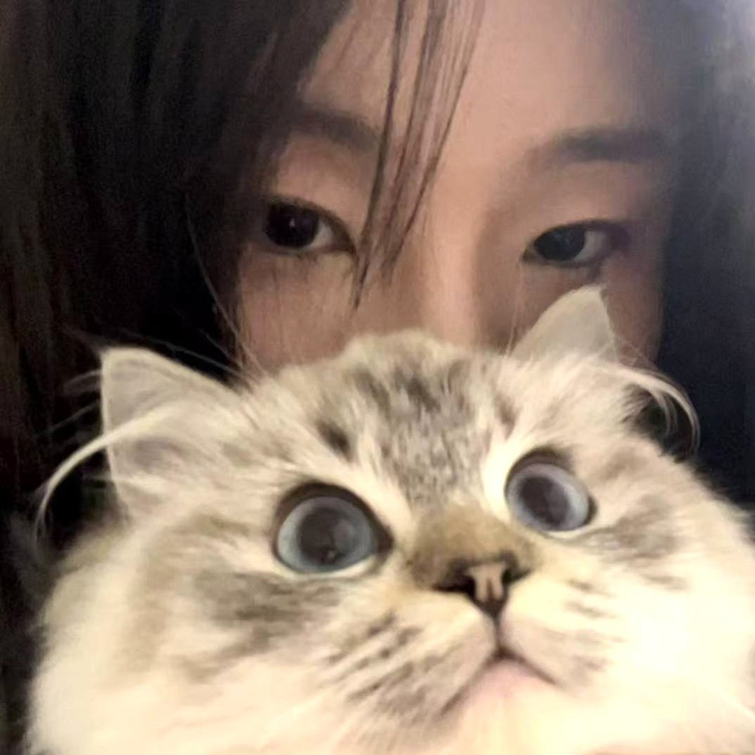 朴朴802