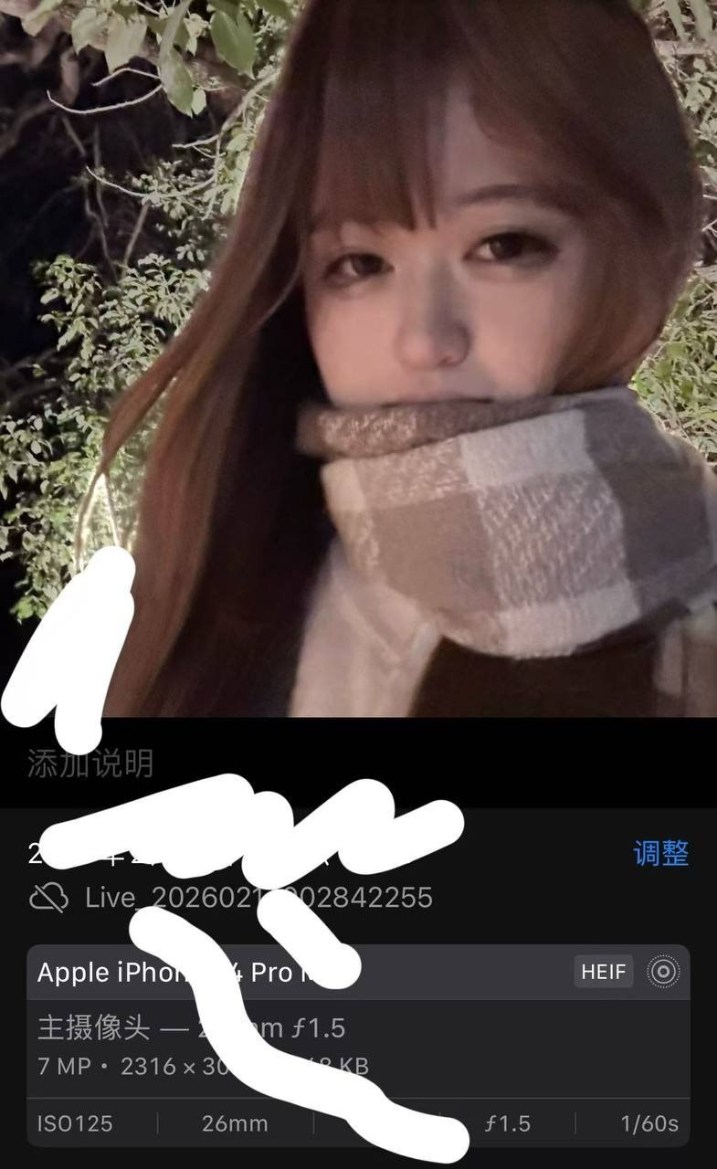 朴朴491