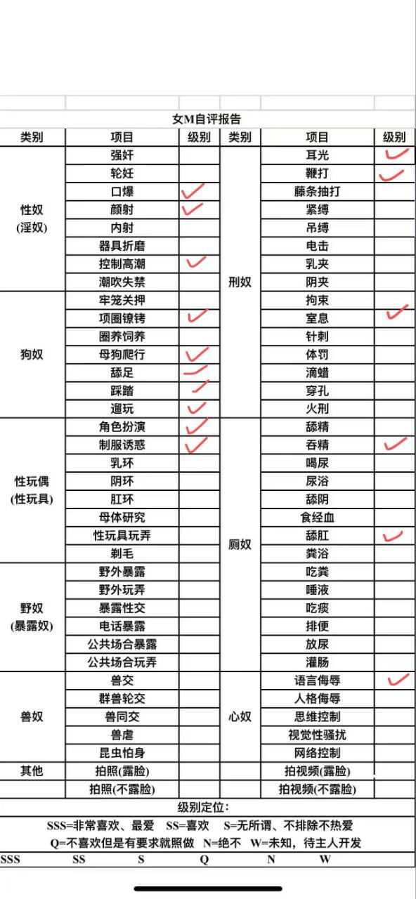 伴友 S24