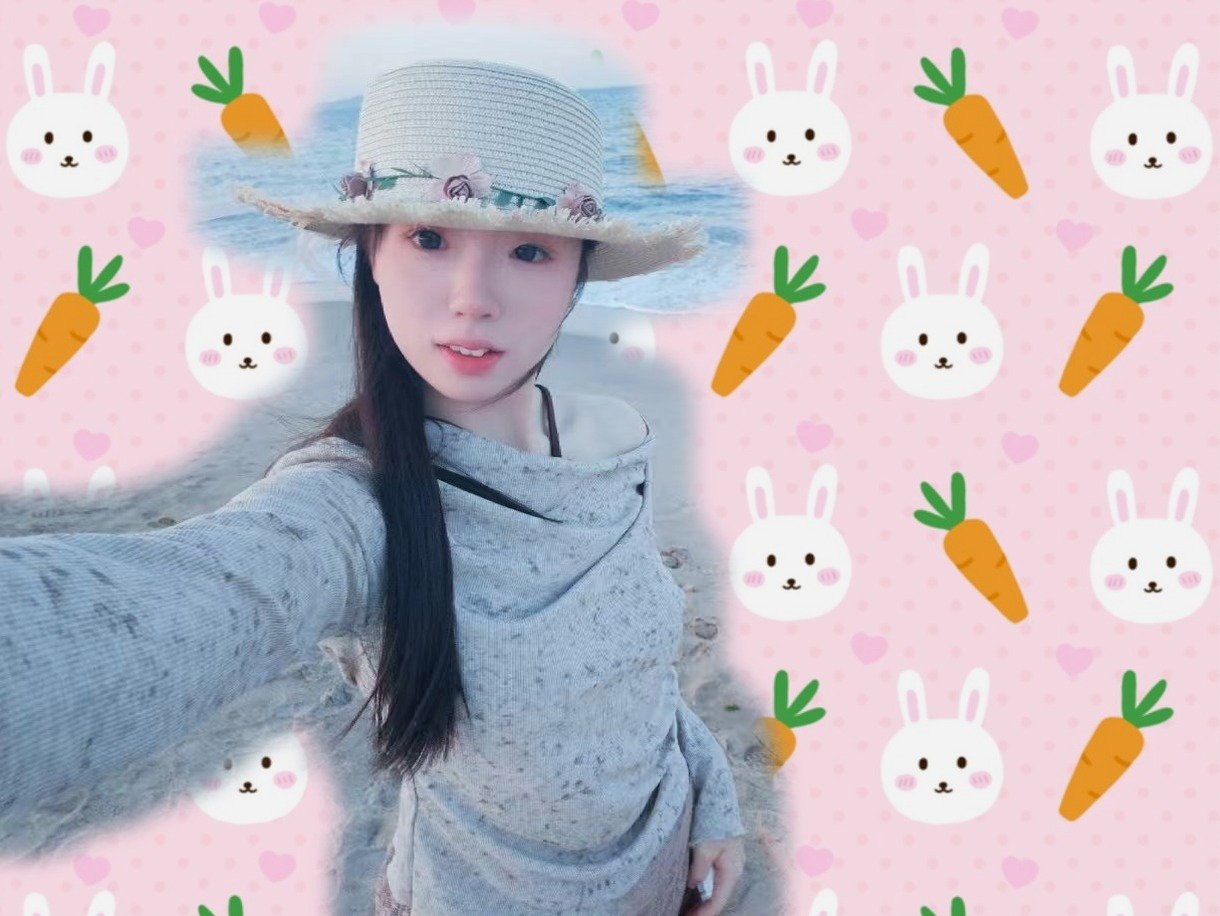 猫猫