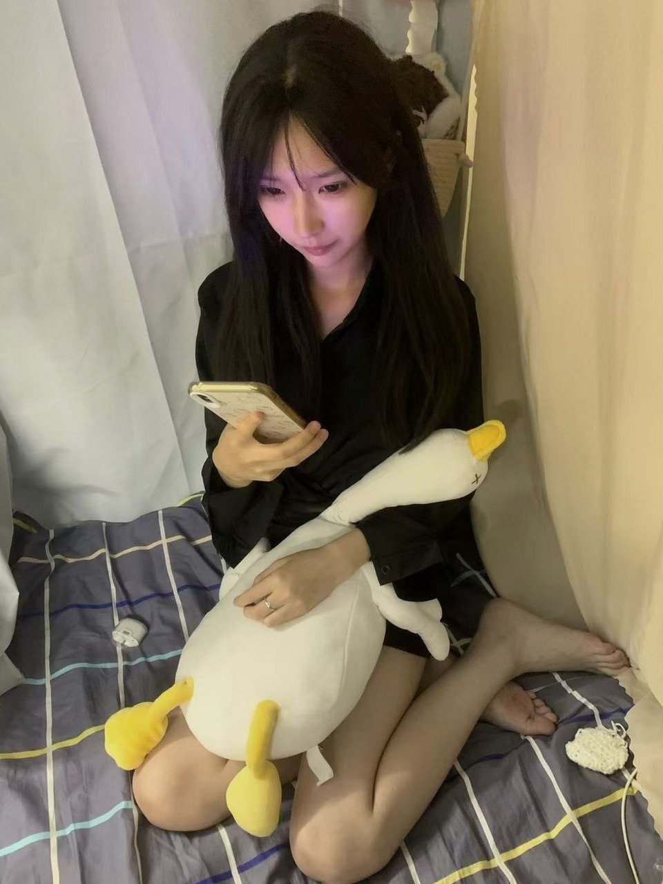 孤岛（龙）006