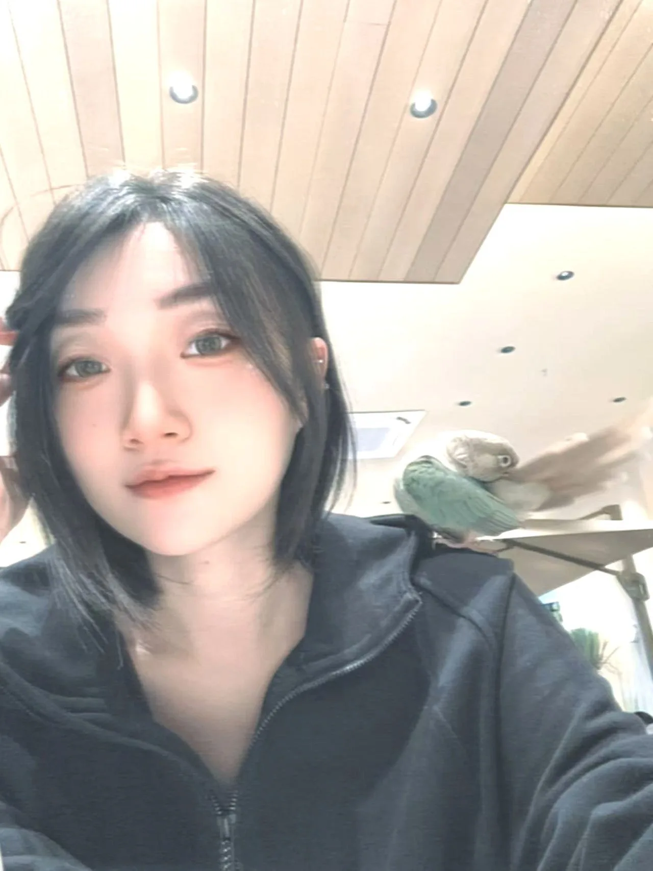 验证视频封面
