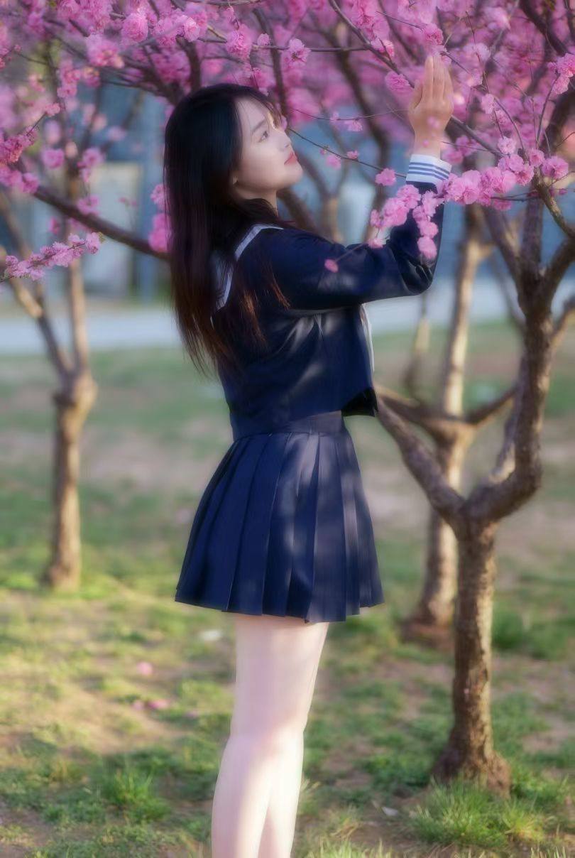 集小