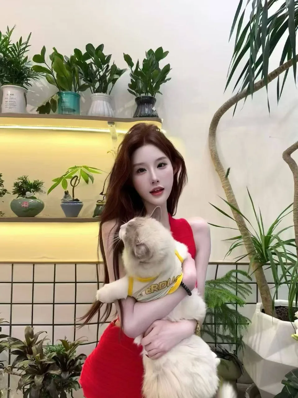 验证视频封面