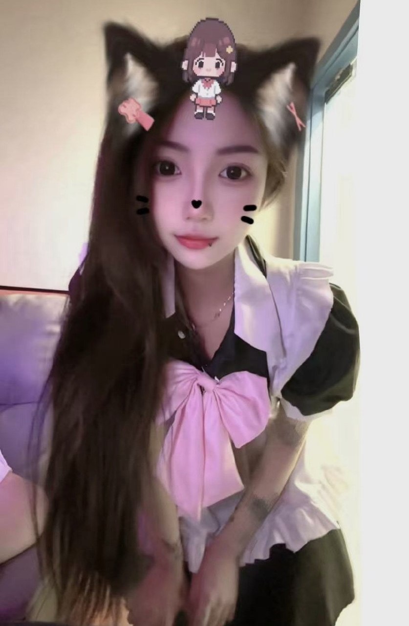 豆豆h015