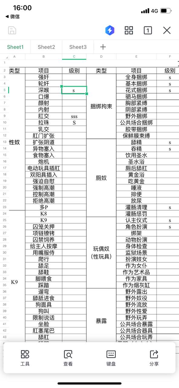 伴友 H4
