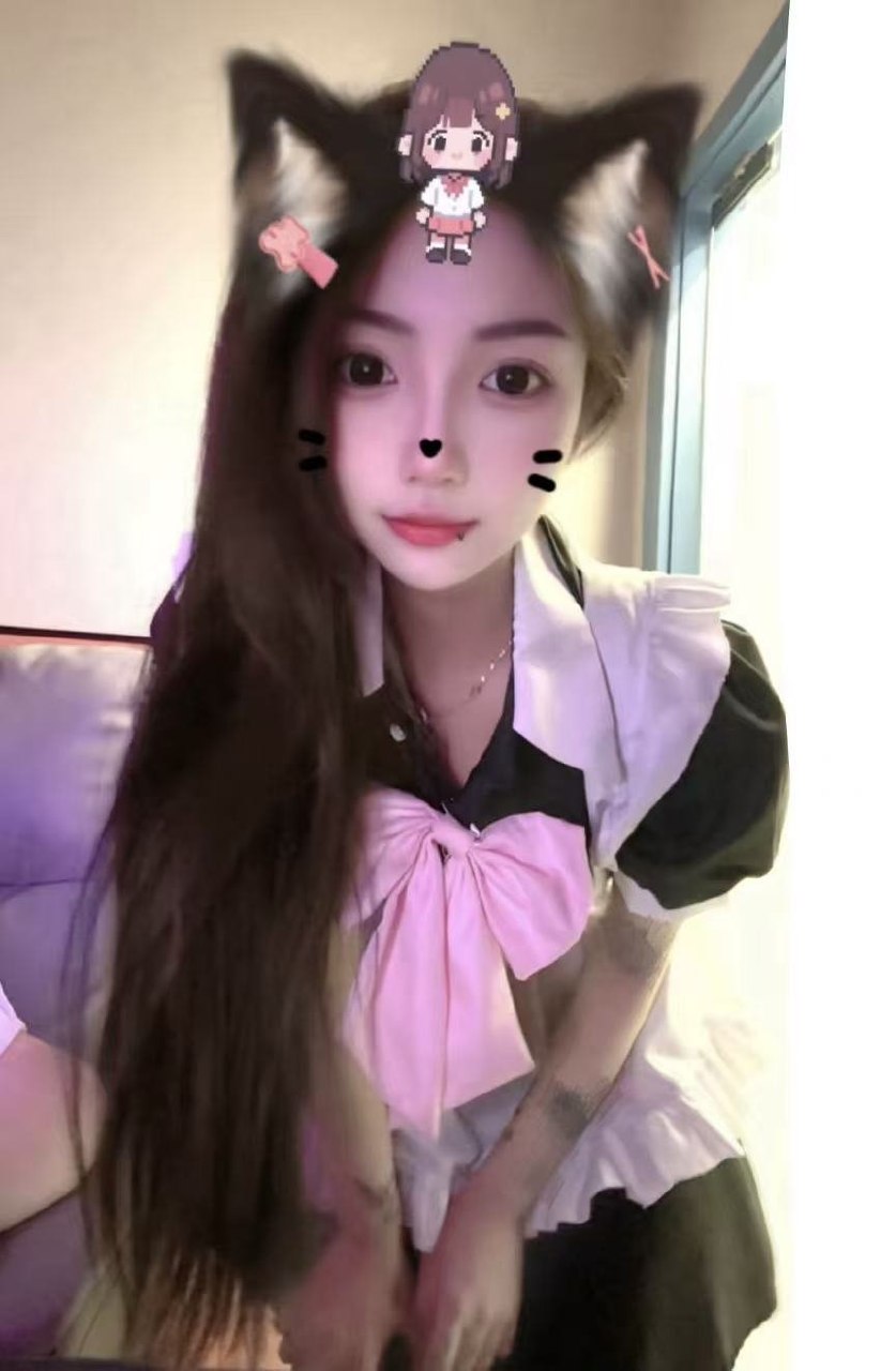豆豆h015