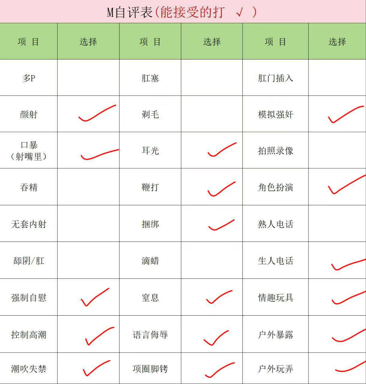 伴友 P69