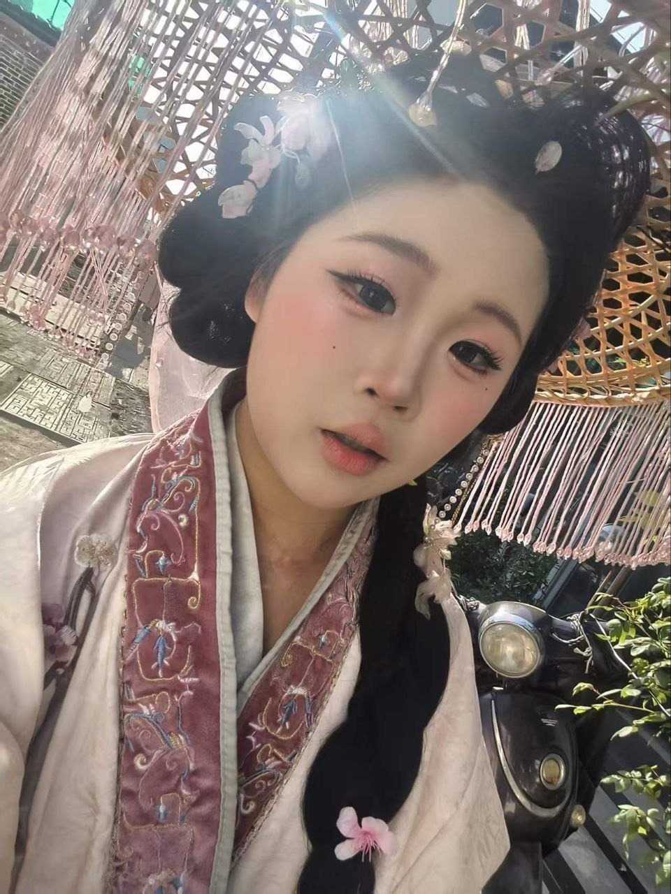 豆豆N