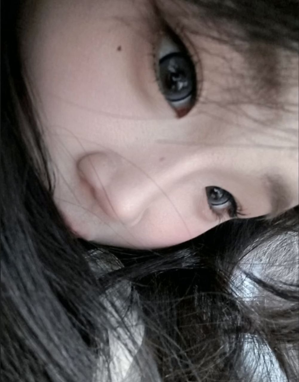 豆豆N