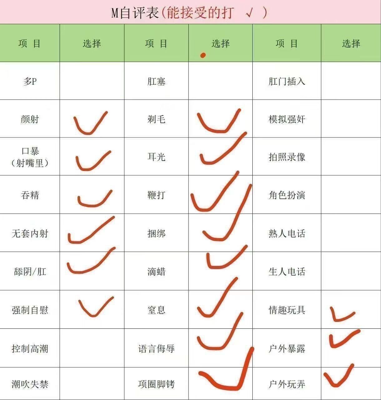 豆豆N
