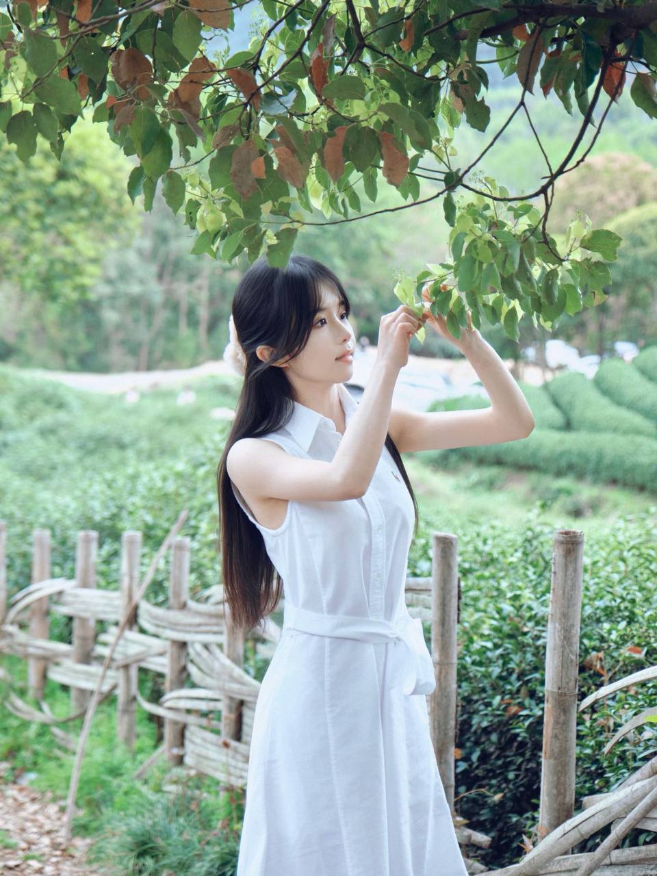 小Q