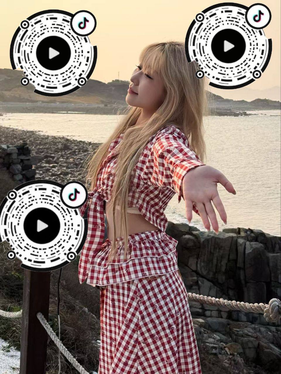 小蝶