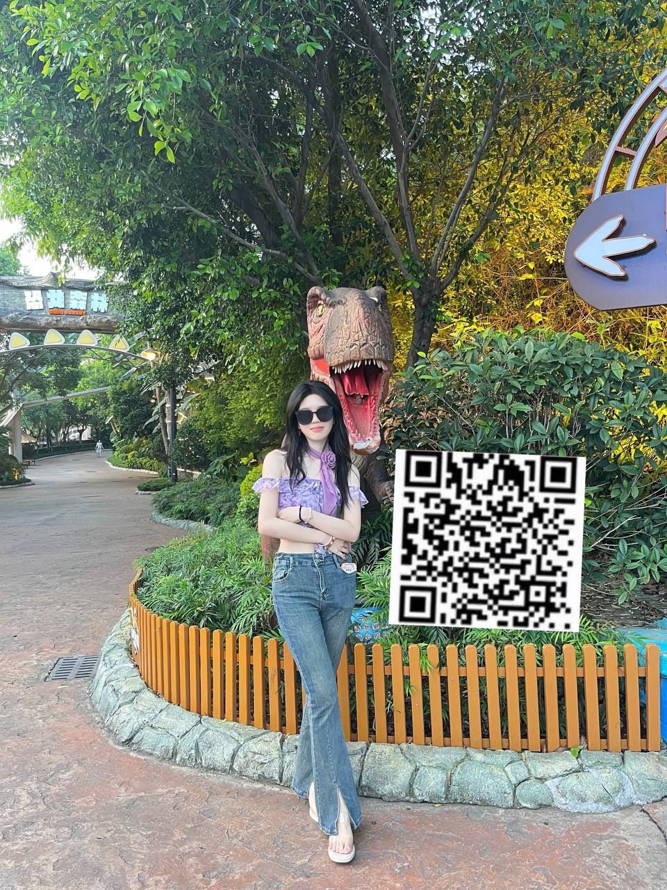 伴友 H26