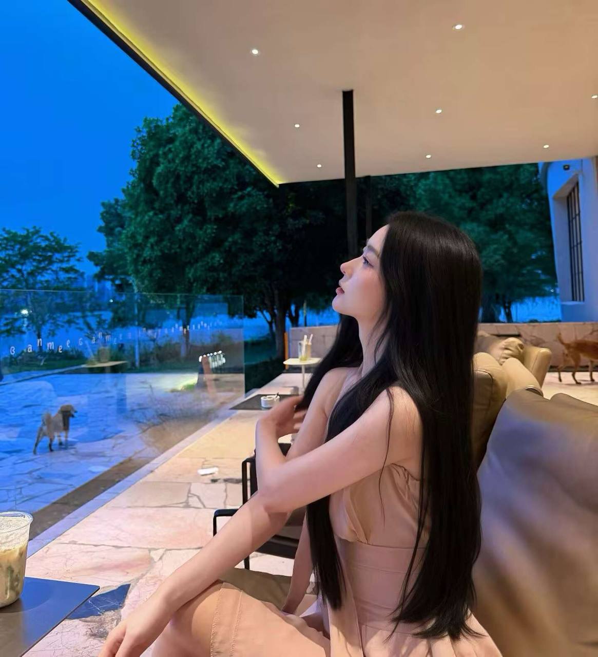 顶美