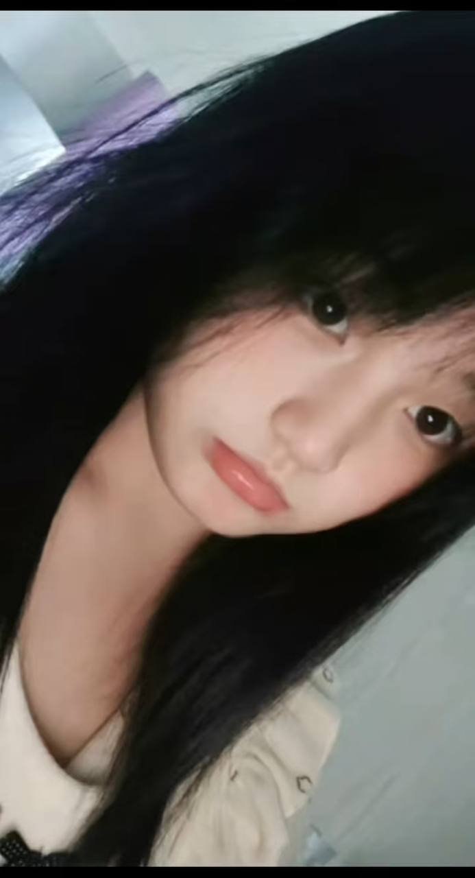 朴朴村长153
