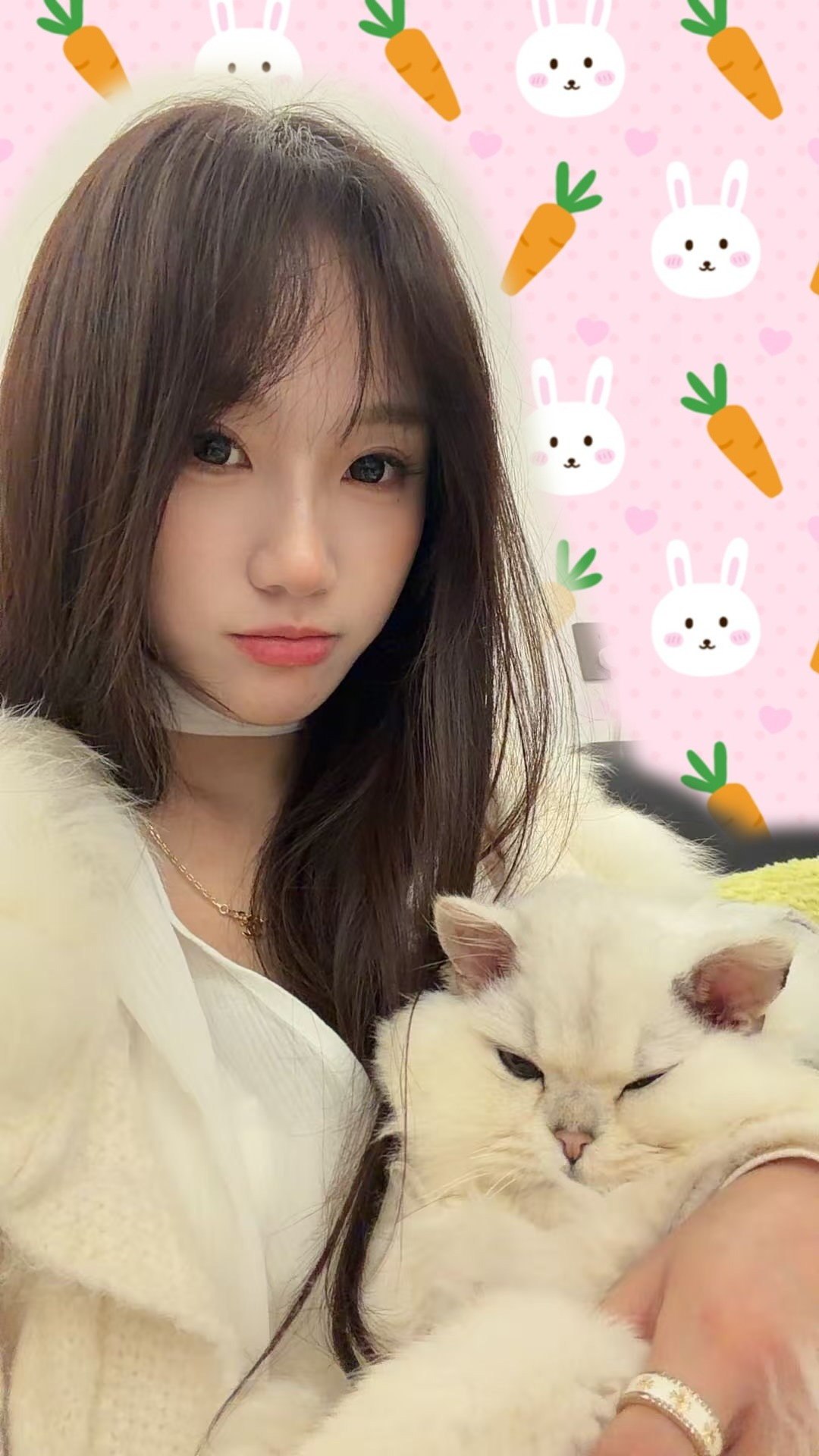 小肖