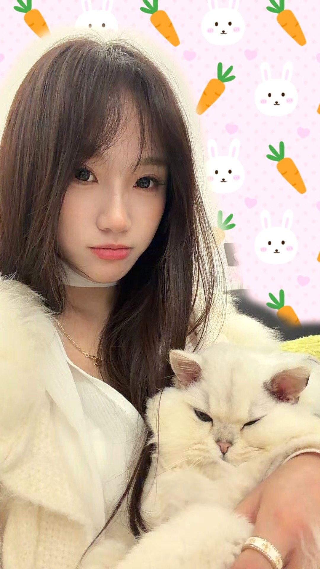 小肖