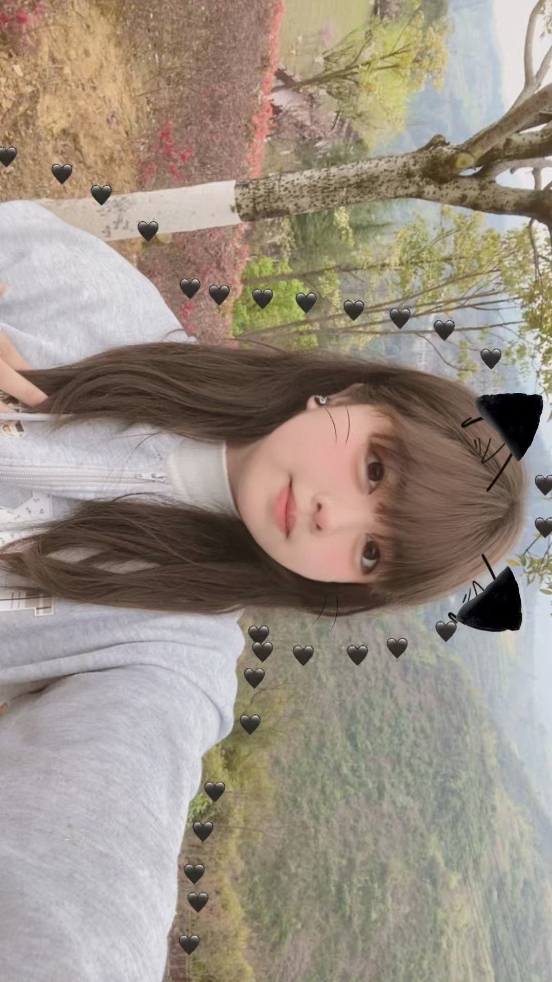 朴朴561