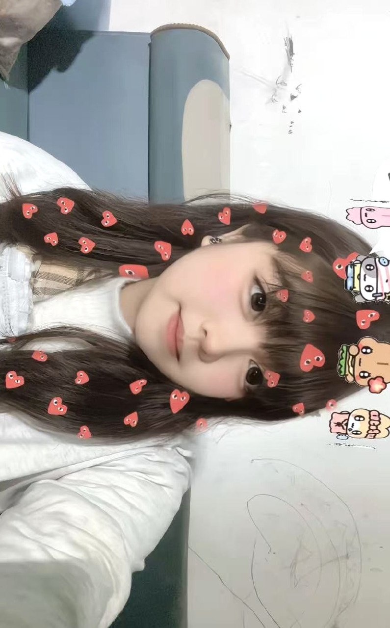 朴朴561